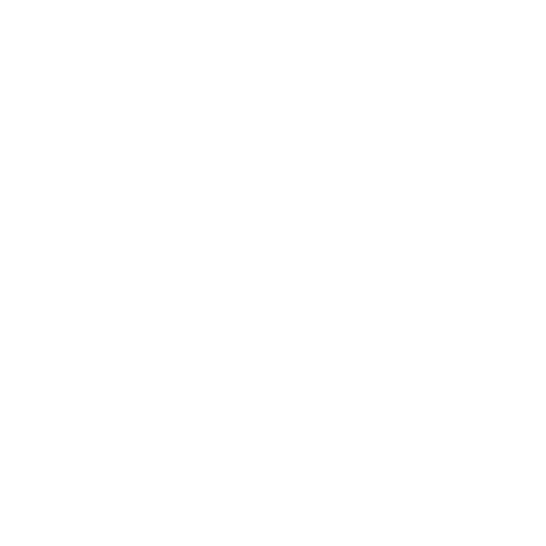 Strivo Webdesign Agentur Logo